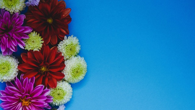 与此同时 与此同时