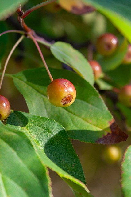 在这个夏令 在这个夏令