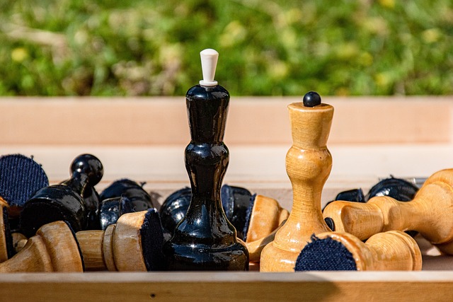 了年轻球员 了年轻球员