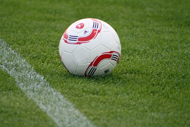 与专业人士 与专业人士