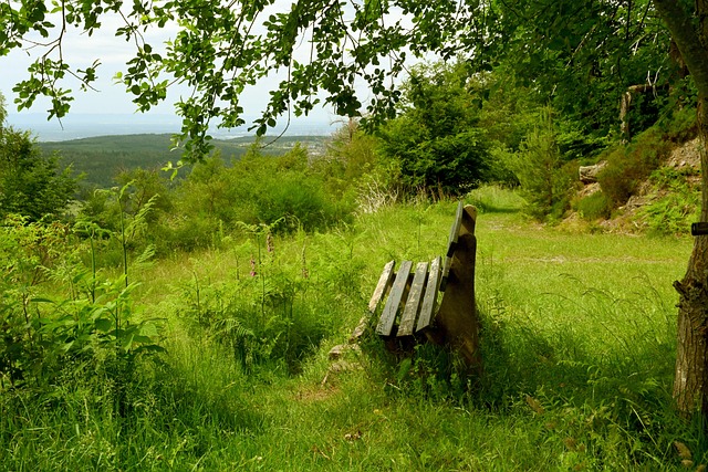 科比跳跃与汽车.