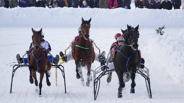 陌上花开谈体育 · 昨天02：24 · 7041阅读.